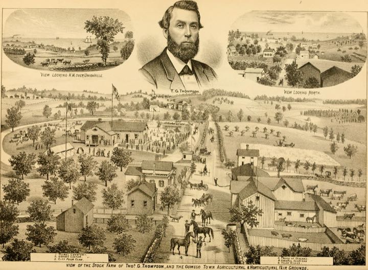 An 1877 lithograph of the Thompson stock farm and the Oswego Town Agricultural and Horticultural Fair Grounds, with Lake Ontario beyond